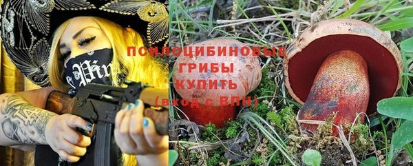молекула духа Новодвинск