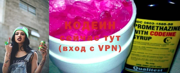 молекула духа Новодвинск