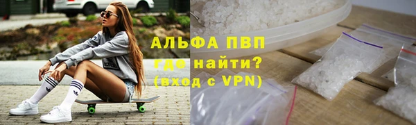 прущие грибы Надым