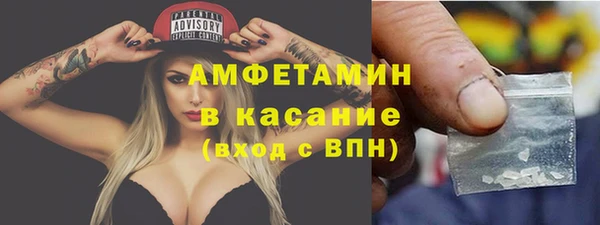 крисы Новозыбков