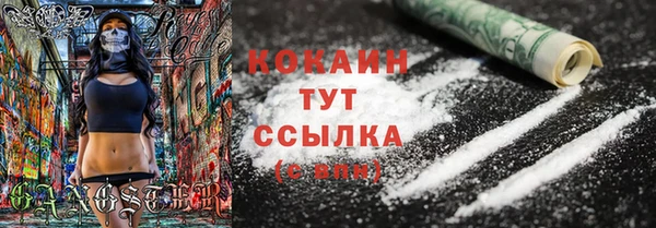 соль ск Нея