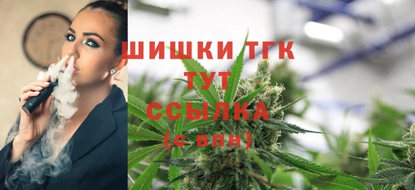 молекула духа Новодвинск