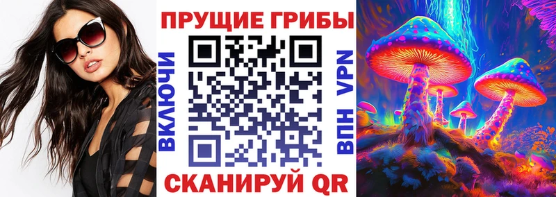 Псилоцибиновые грибы мухоморы купить наркотики цена Братск
