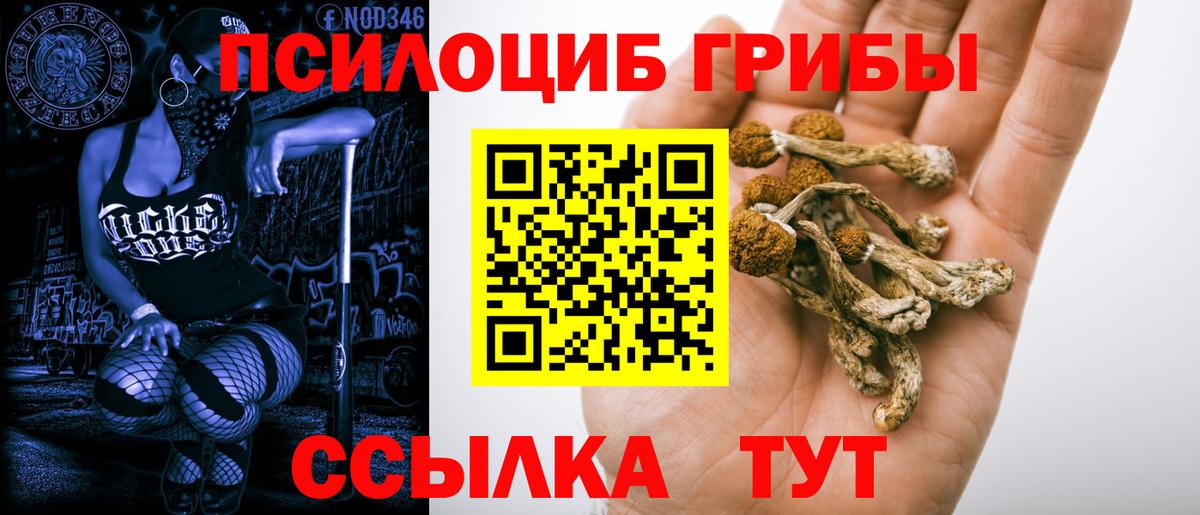 Псилоцибиновые грибы ЛСД Братск