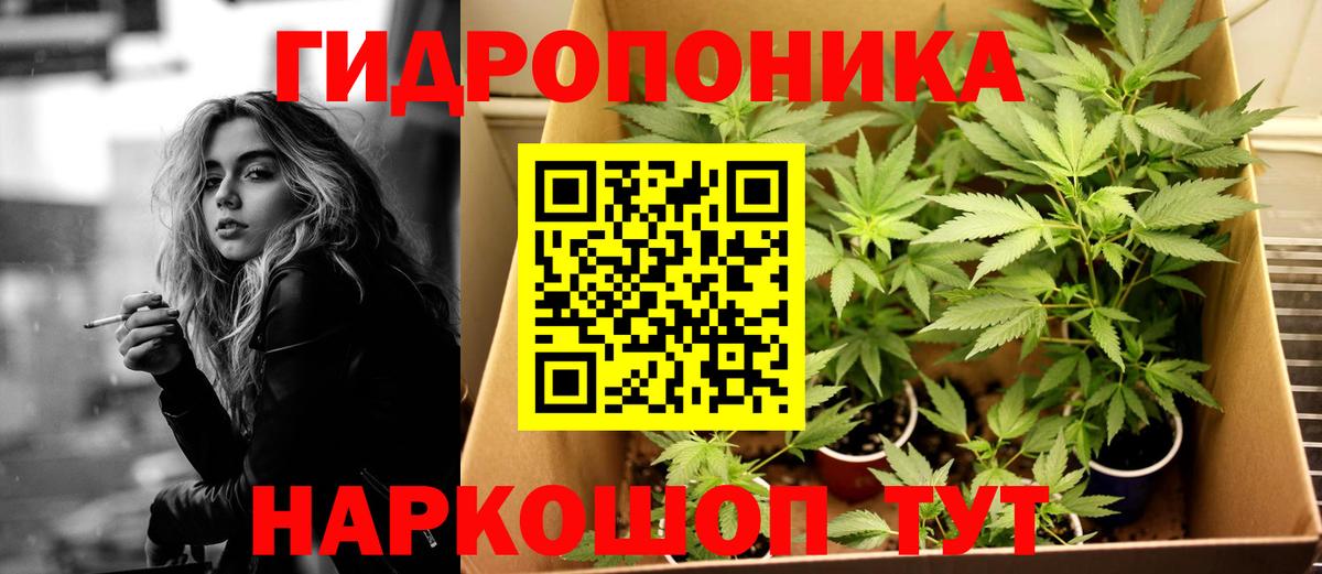 Братск  Марихуана White Widow  Шишки марихуана LSD WEED  МАРИХУАНА ГИДРОПОН  Вход с VPN 